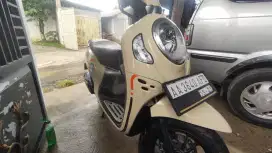 HONDA SCOOPY 2021