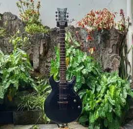 Schecter sgr s-1 elektrik gitar original