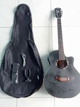 Gitar elektrik apx custom