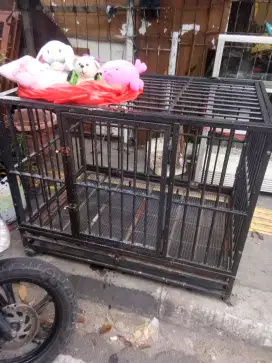 Kandang anjing besi