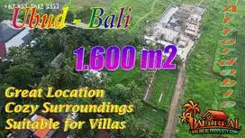 Closed to Ubud Center 16 Ares Land Freehold