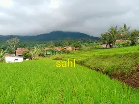 TANAH SAWAH SHM AIR BAGUS UNTUK VILLA BISA SEBAGIAN