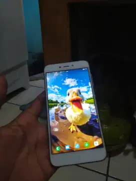 Xiaomi redmi 5a