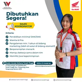 Lowongan Kerja Sales Codinator, Marketing Officer, Sales Counter