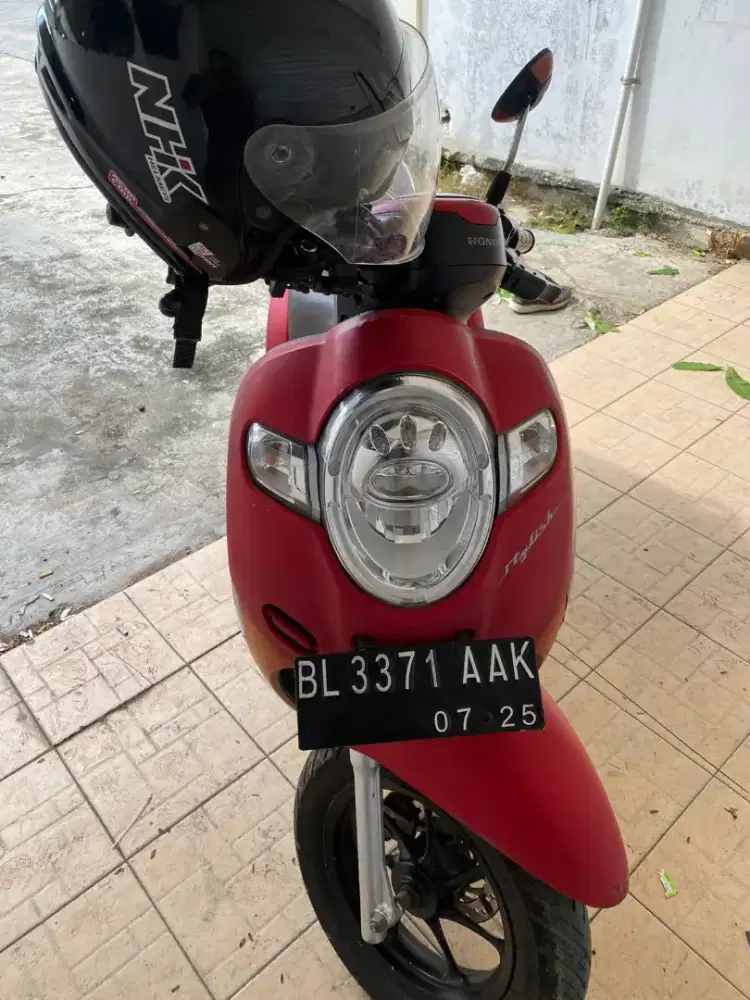 Scoopy Dove merah 2018