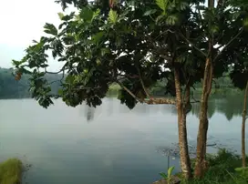 Dijual tanah dan rumah pinggir danau, 792 m2, SHM