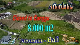 Under Market Price 80 Ares Dry Land Kediri Area