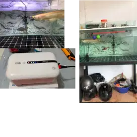 Jual Fullset ikan sama aquarium peralatan