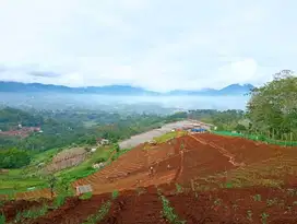 DiJual TAnah Subur Cocok Untuk Berkebun View Gunung Di Ciwidey