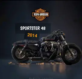 Sportster Fourty Eight 2014  (FP)