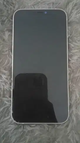 iPhone 12 64 Gb Inter