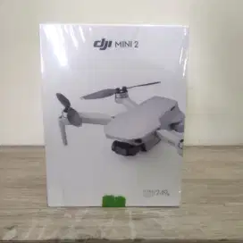 DJI Mini 2 (Display Demo)