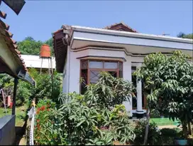 Rumah Luas Tanah 210 m2, Sejuk & Bagus