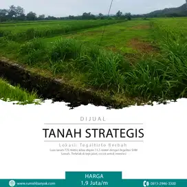 Dijual Tanah Strategis Di Tegaltirto Berbah Cocok Untuk Investasi