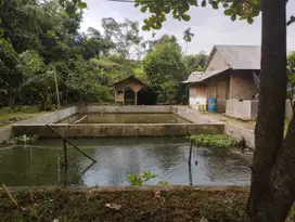 Tanah datar cocok banget buat Villa di Cigombong