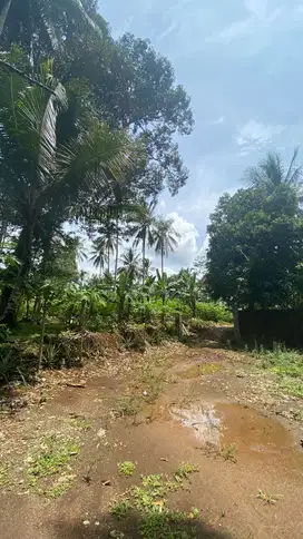 Dijual tanah di cikembar sukabumi jawa barat 300 rb/m nego