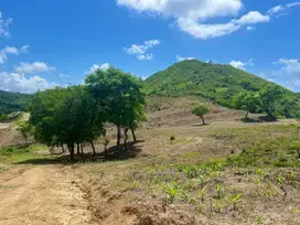 Tanah murah jual cepat dekat pantai Mawun Kuta Mandalika Lombok