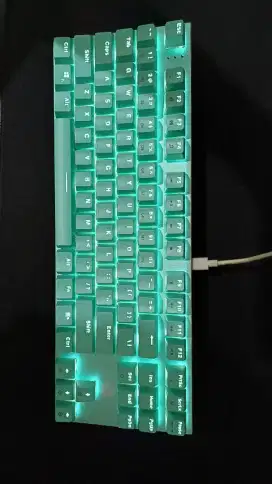 Keyboard Maxfit 87 mint edition
