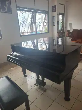 Grand Piano Apollo Murah