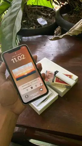 Iphone 11 64 gb ibox