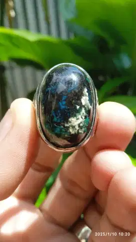 BACAN KEMBANG LAWASAN KLIMIS