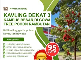 promo tanah dekat kampus, free pohon rambutan berbuah