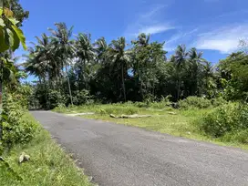 Dijual Cepat! Tanah di Lokasi Padat Penduduk, Cocok untuk Usaha