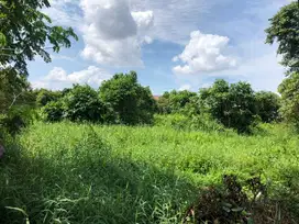 DIJUAL CEPAT ‼️ Tanah seluas 5000 m2 di Jalan Arifin Achmad Pekanbaru