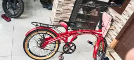 sepedamerk evergreen