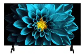 Android TV Sharp 4K 42 inch 4T-C42DK1I