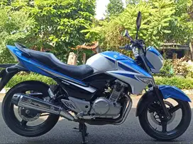 Suzuki Inazuma 2015