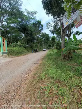 Tanah Hunian di Ciharashas Cianjur Dekat Pasir Hayam