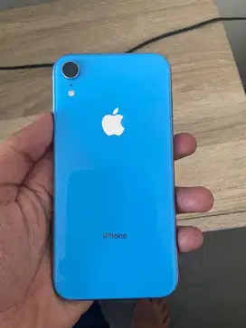 IPhone Xr 128 Signal permanen Allop