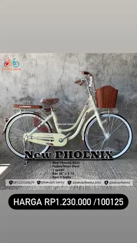 Sepeda Anak Cewek Dewasa Keranjang Mini New Phoenix Ring 26 24