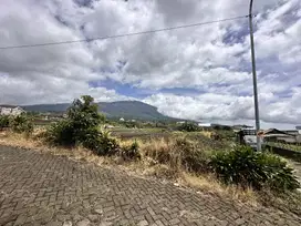 Dijual Cepat Tanah Sawah Subur di Kota Batu dekat Coban Talun, Selecta