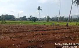 DIJUAL TANAH MURAH 15000 M2 DI HAJIMENA