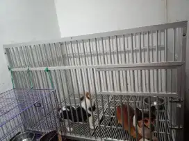 Kandang anjing full alumunium bongkar pasang