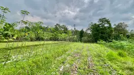 Tanah  Kebun 1697 m2 Udara Dingin Bojong Purwakarta Dijual Murah