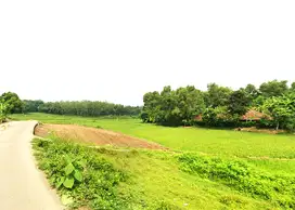 View Sawah & Bukit, Mulai 700 Rb-an Kavling SHM Bekasi