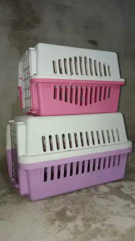 Pet cargo kucing atau anjing COD banjarmasin