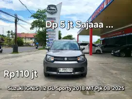 Dp5jt IGNIS 2018 Manual Pjk08-2025