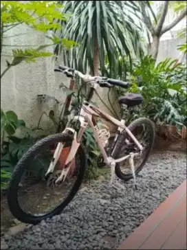 DIJUAL SEPEDA GUNUNG MTB POLYGON XTRADA 3 BEKAS