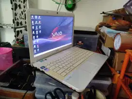 Sony Vaio VPCEG