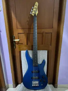 Bass Elektrik Prince