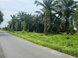 Dijual cepat tanah darat luasa