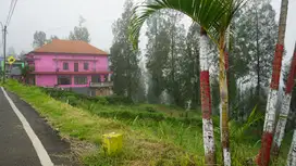 Lahan 2000 Meter di Ds Tosari Pasuruan Jatim