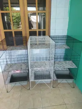 Ready kandang kucing baru