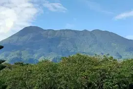 lowongan pekerjaan Karyawan Toko