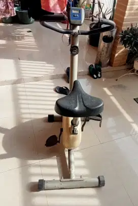 Sepeda olah raga statis