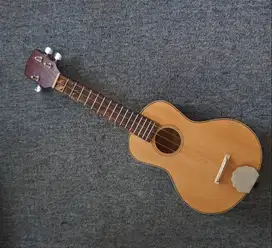 gitar uku lele keroncong cak cuk